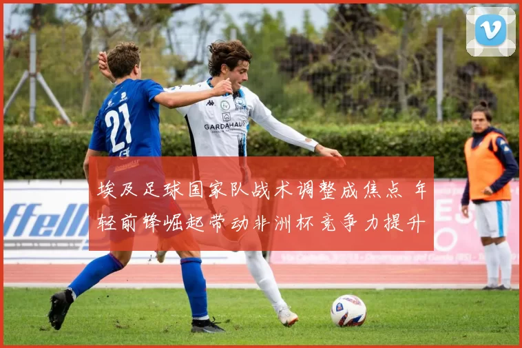 埃及足球国家队战术调整成焦点 年轻前锋崛起带动非洲杯竞争力提升