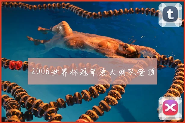 2006世界杯冠军意大利队登顶