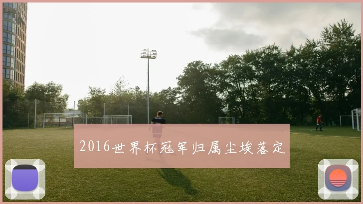 2016世界杯冠军归属尘埃落定