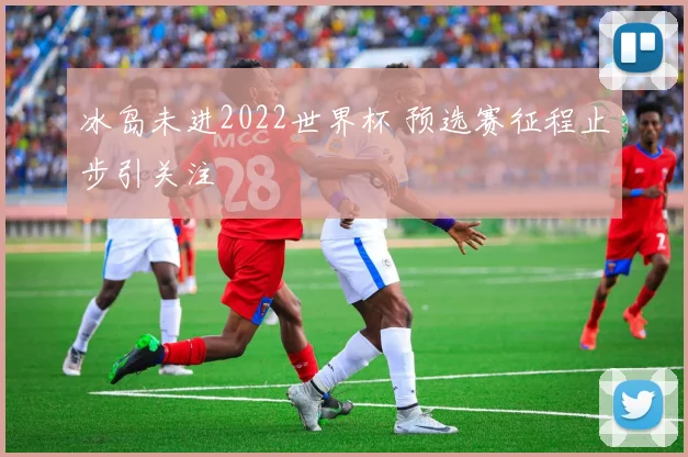 冰岛未进2022世界杯 预选赛征程止步引关注