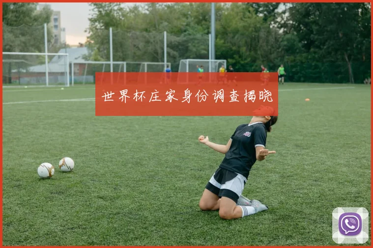 世界杯庄家身份调查揭晓